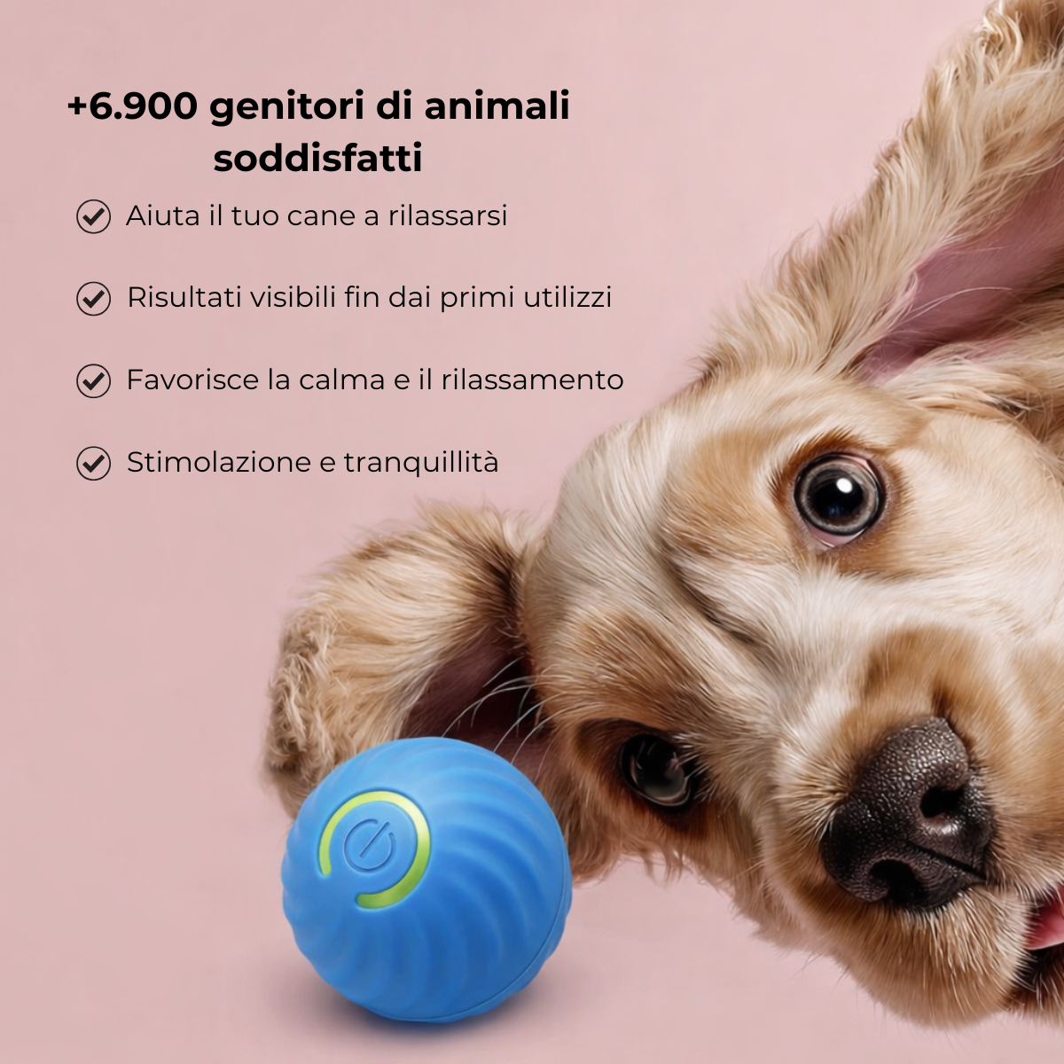 CoonidBall – Palla interattiva